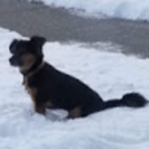 Meet your Posher, Brian